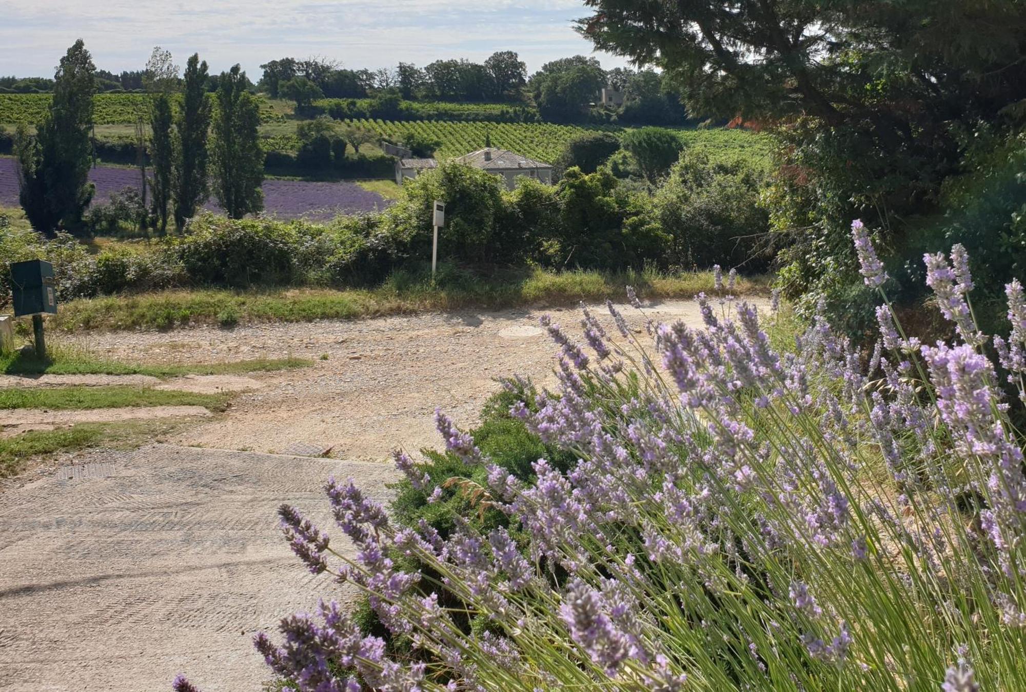 Le Clos Du Grand Chene - Gites 4 Etoiles - Saint-Marcel-d'Ardeche Eksteriør bilde